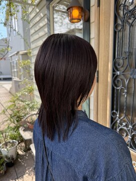 チョコレート(chocolate) メテオカラー