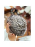 【シルバーアッシュ】