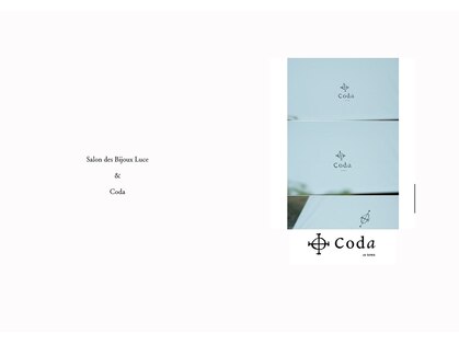 コーダ(Coda)の写真