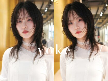 ヨーク(yoke)の写真