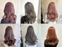 ハロ 蕨(HALO)