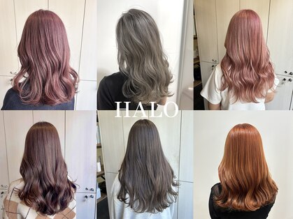 ハロ 蕨(HALO)の写真