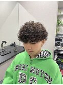 プードルパーマ