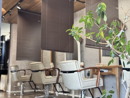 コーラルクリーク(Coral Creek)の写真