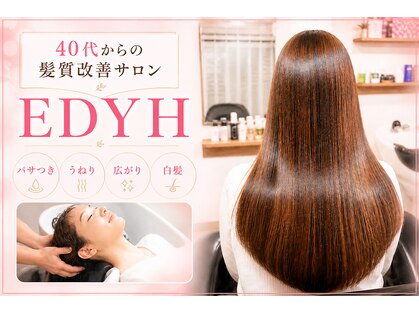 エディー(EDYH)の写真