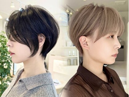 ネア(nea)の写真