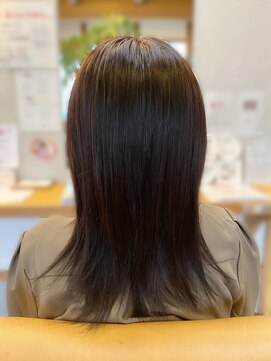 ギャロップヘアー ルビーブラウン