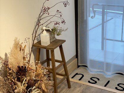 シス(sisu)の写真
