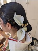 タイトシニヨン