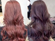 オムニス 表参道(Omnis)