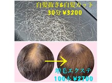 ルートヘアー 湘南茅ヶ崎店(Route hair)