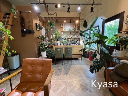 キャサ(kyasa)の写真