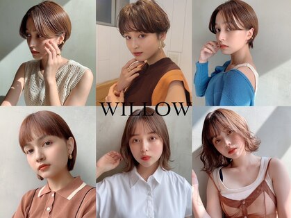 ウィロー(WILLOW)の写真