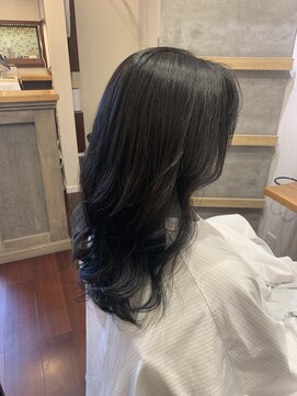 アンプリフィア(amplifier) ダークアッシュグレー×ロングヘア