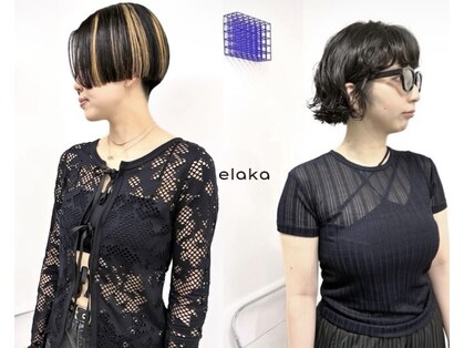イラカ(elaka)の写真