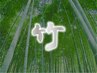 《自分へのご褒美に》竹コース