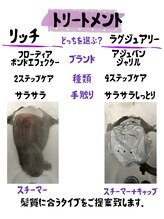 シャムス(SHAMS)