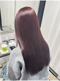 【原野葵】ワインレッド