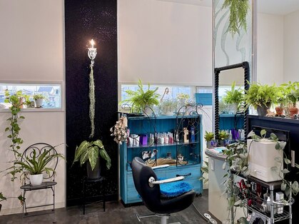 アマレーナ(AMARENA)の写真