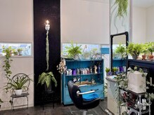 アマレーナ(AMARENA)