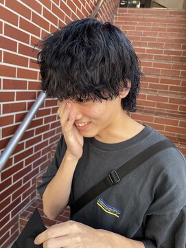 マエストロ(Maestro) ☆☆ツイストスパイラルのミディアムウルフ