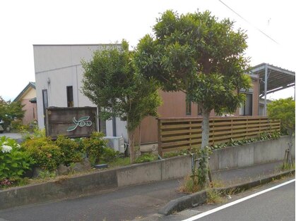 ユウ(YOU)の写真