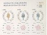カラダの内側から美しく【毛髪栄養診断いこらぼ】+カット14700￥→￥11520