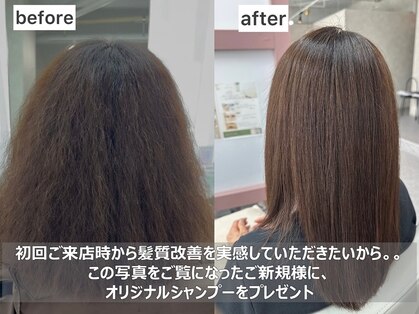 ランプシー(Lampsi)の写真