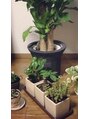 スパ ヘアーデザイン(SPA hair design) 観葉植物が好きです。