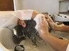 カット＋植物由来ナチュラルカラー(リタッチ)＋スタンダードスパ1→通常18700