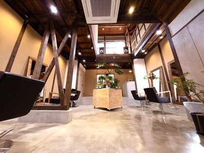 キトキ(Qと木)の写真