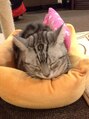 アガサ(agatha) 猫好きです！猫カフェによくいきます。笑