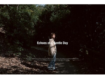 ルーカス(LUCAS)の写真