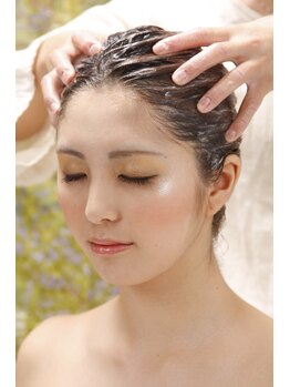 シープ(Sheep)の写真/頑張る大人女性に極上の癒しを