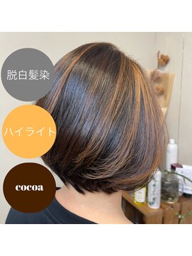 ノエル(NoEL) 白髪染め染料を使わない明るい白髪染め