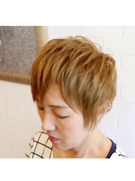 ジャヴァル(JAVAL) 【髪に優しい白髪ケア】グレイカラー