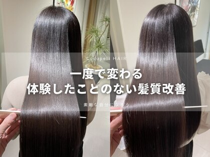 ココペリヘアーの写真