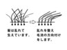 エンジェリックケア全頭　　　15時まで