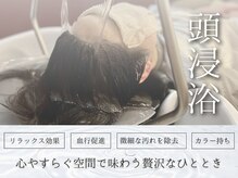 レジュール Rejouirの雰囲気（シャンプーは全てマイクロバブル◎頭浸浴でエステ体験[髪質改善]）