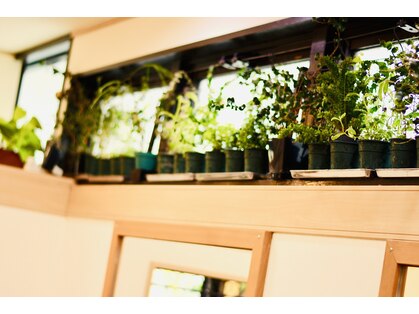 スラッシュ(SLASH)の写真