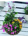ゴエン(goen hair lounge) 寄せ植えにハマってます。観葉植物や切花も好きで癒されます♪