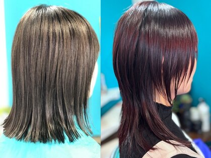 チェルシー(Chelsea)の写真