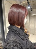 Red brown × Bob