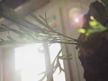 エゴ(ego)の雰囲気(居心地の良い空間を提供できるよう心がけています)