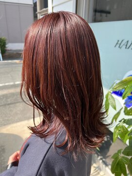 ネリネ(Nerine) くびれ