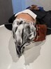 【中本限定】カット＋カラー＋極上アロマ付きスパ20分＋トリートメント￥11900