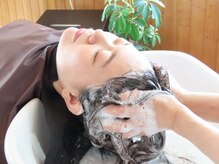 ローズマリー(Rosemary)