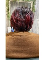 エターナルヘアー(eternal hair)&nbsp;レッド