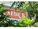 サイドビー(side B)の写真