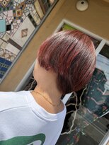 ロホ(ROHO)&nbsp;赤カラー